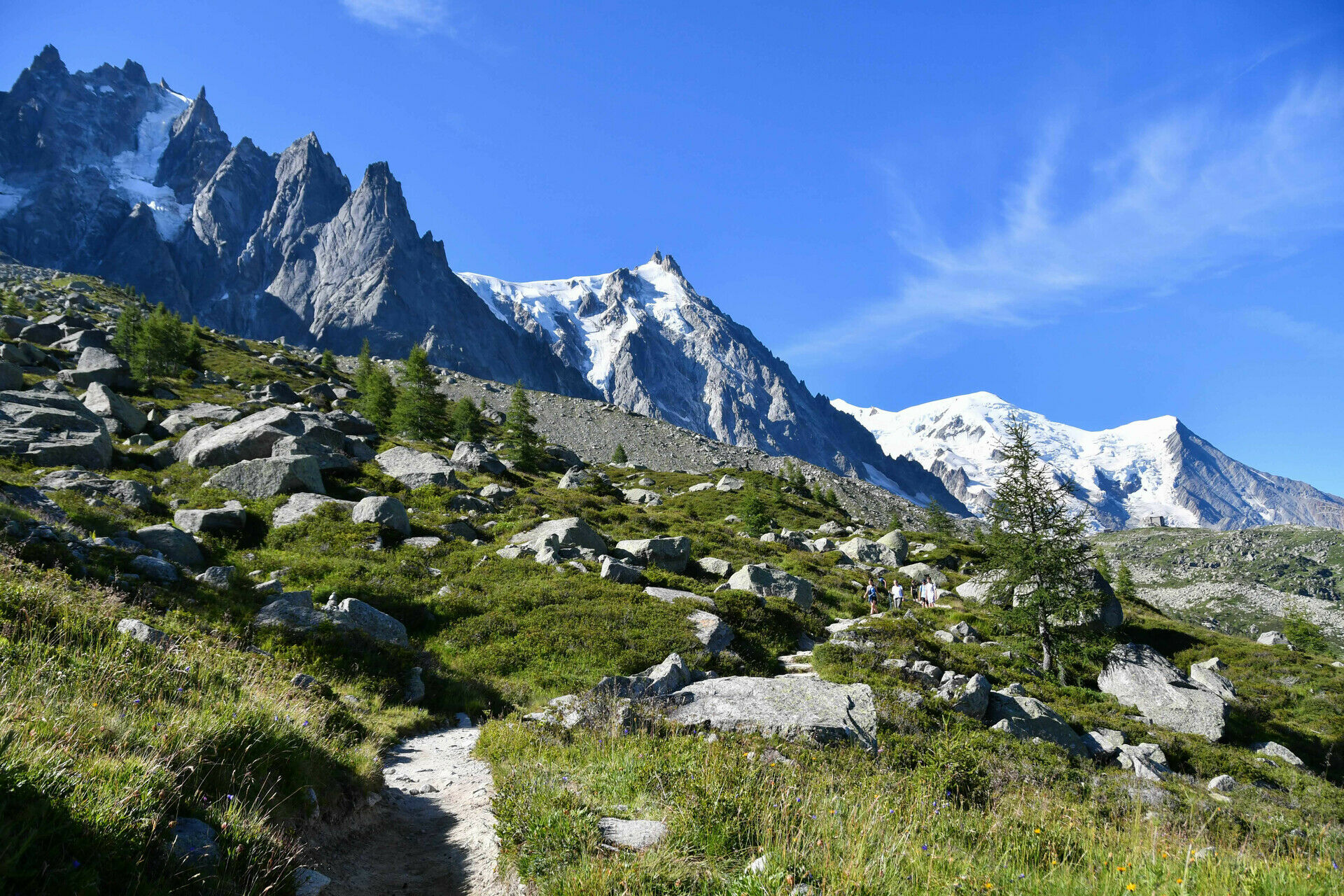 Hiking - Plan de l'Aiguille - group, all ages - 1