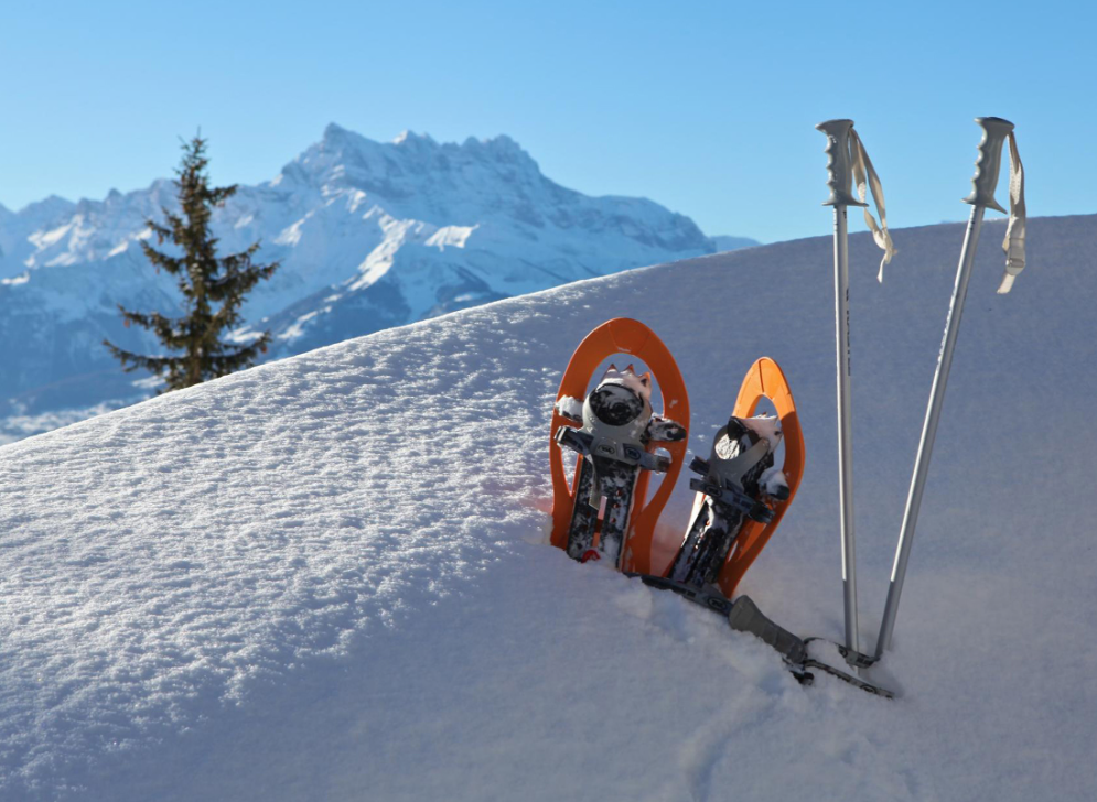 Snowshoeing- Half day - Private Guide just for you - 2