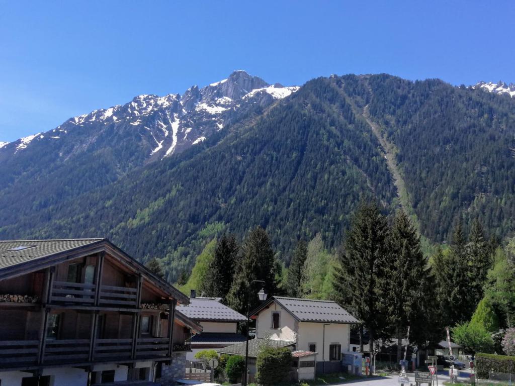 CHAMONIARD VOLANT - 2