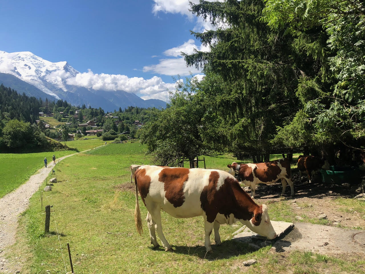 Appartement dans chalet - Le Lavancher - 26