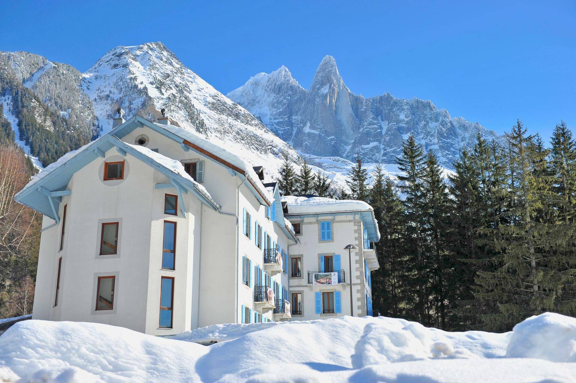 LA FORET DES TINES - 1