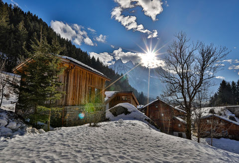 Chalet LE MOULIN - 1