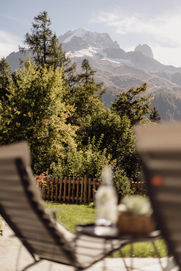 Chalet LA BERGERIE - 38