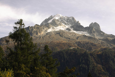 Chalet LA BERGERIE - 36