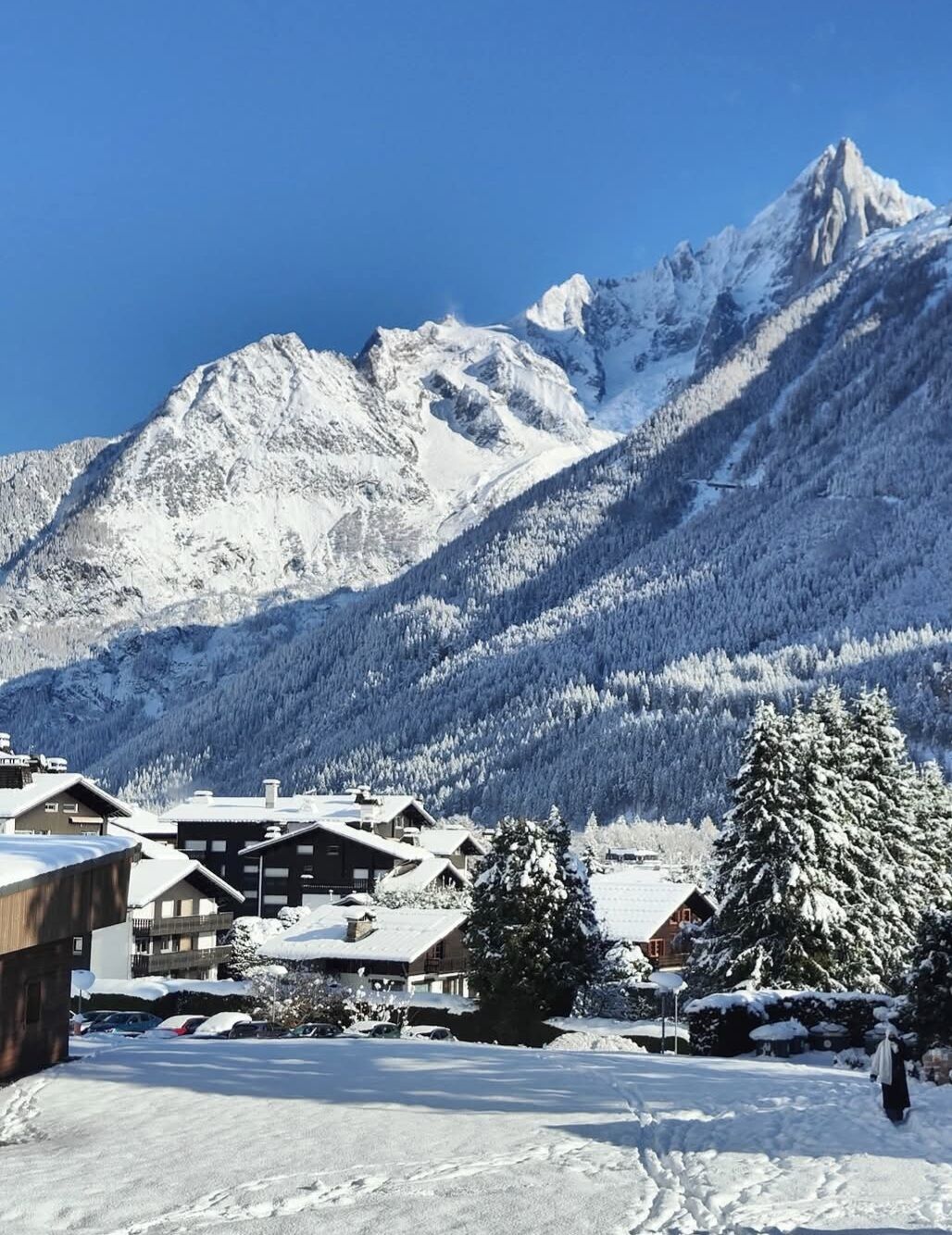 Clos du Savoy - Les Edelweiss - 18