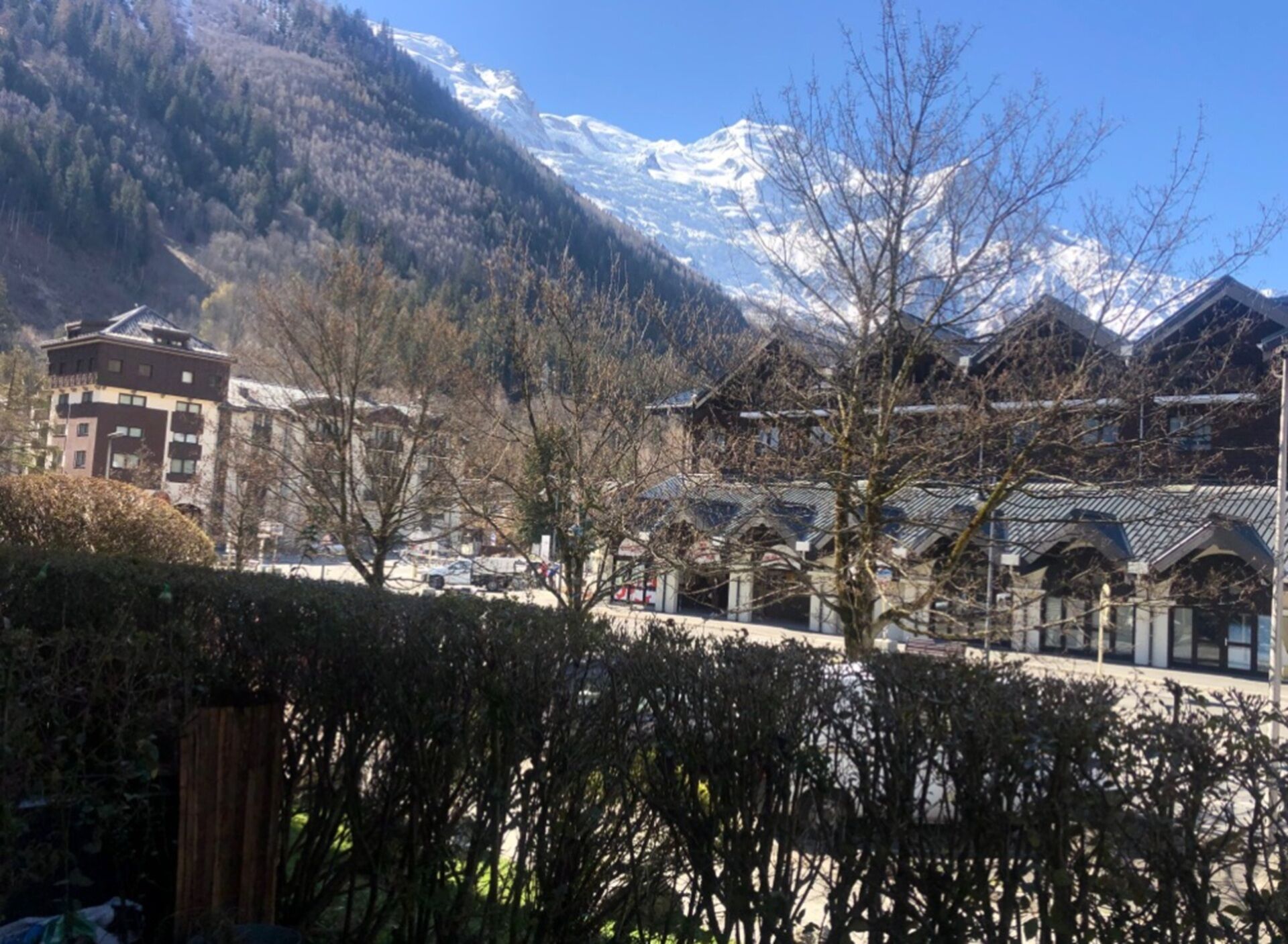 Chamonix 27 - Au Centre Vue Mont Blanc et Jardin - 6