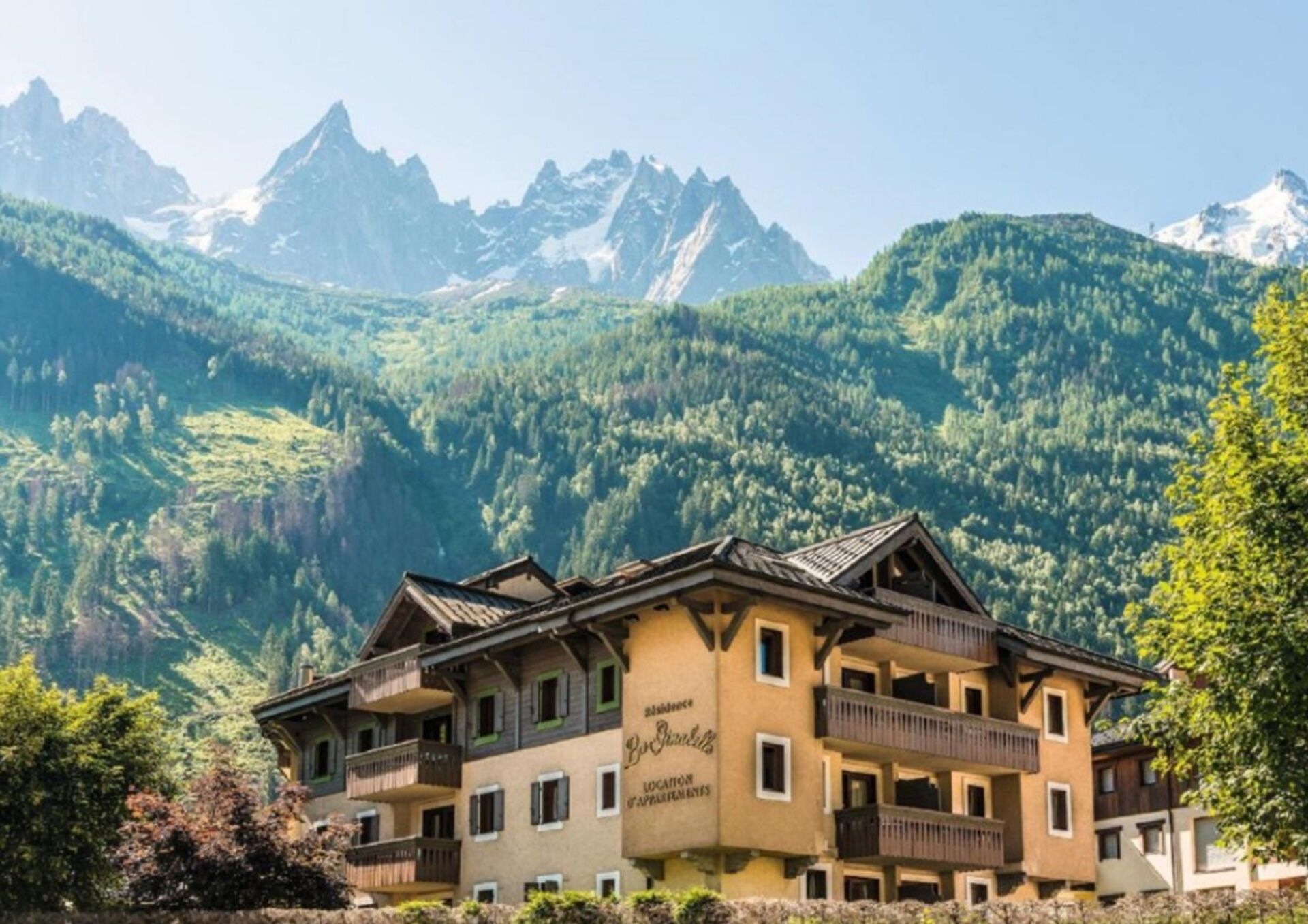 La Ginabelle – vue Mont Blanc avec piscine - 9