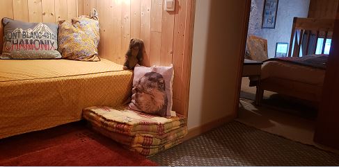 Appartement Montroc - 23